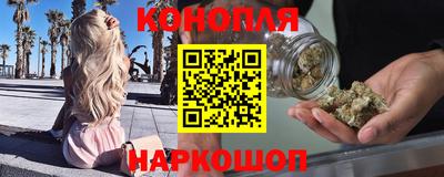 шишки Пугачёв