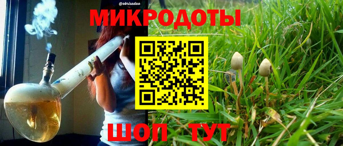 Рославль  Псилоцибиновые грибы Psilocybe  Вход с VPN  Псилоцибиновые грибы Cubensis 