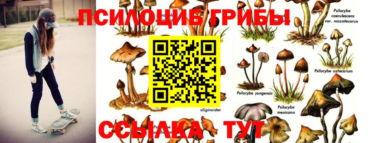 Псилоцибиновые грибы ЛСД Рославль